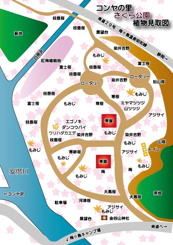 桜公園　マップ